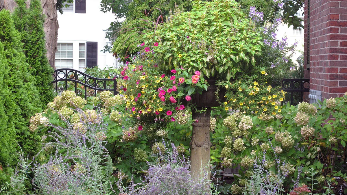 Urban Garden