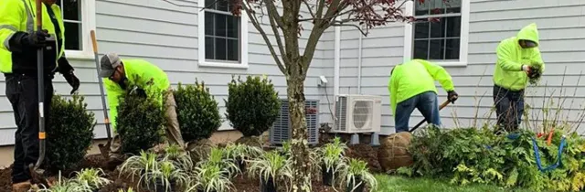 Four workers in neon jackets trimming shrubs in front of a house