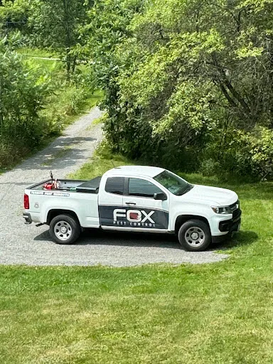 Fox Pest Control South Burlington work photo