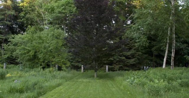 JONATHAN KEEP LANDSCAPE DESIGN researched project photo