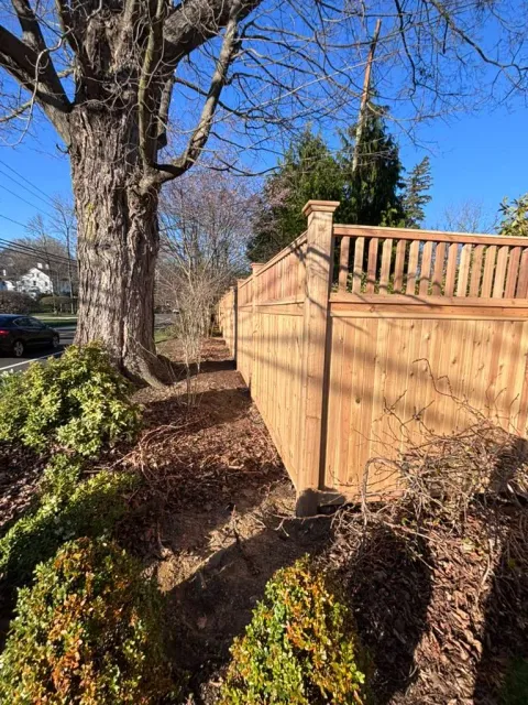 Fence project 11