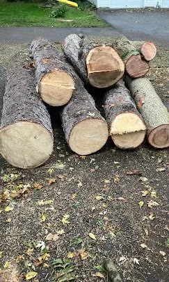 Stack of cut logs on the ground outdoors near a sidewalk and grass.