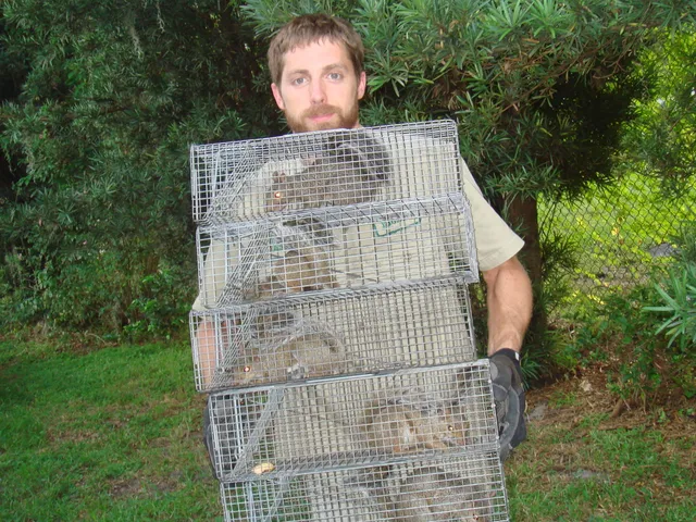 Wildlife Removal Burlington work photo