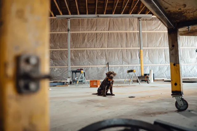work photo from Google listing