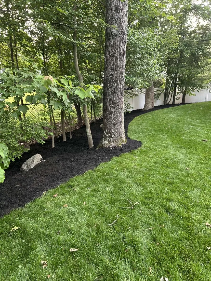 Seasonal cleanup progress