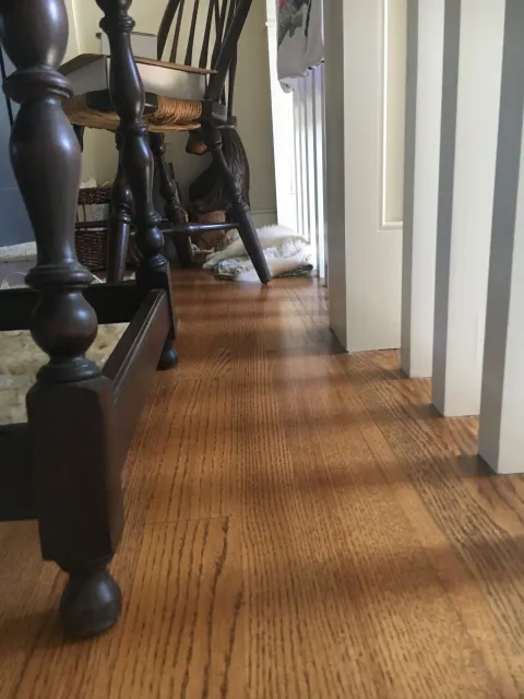 Why Stain and Dye Aren’t Interchangeable on Hardwood Floors