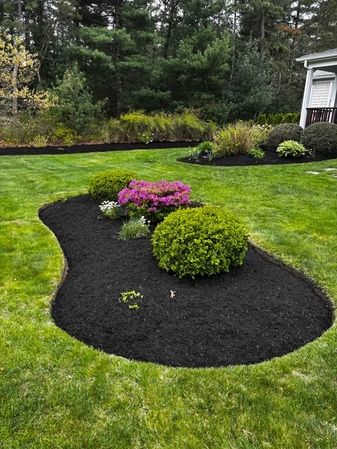 TH Landscape Design work photo