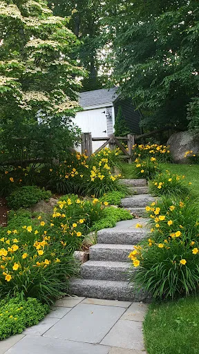 Barrios Landscaping work photo