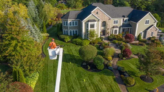SavATree - Tree Service & Lawn Care work photo
