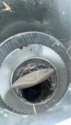 Duct Cleaning and SaniDry Installation Planned for Norfolk Home
