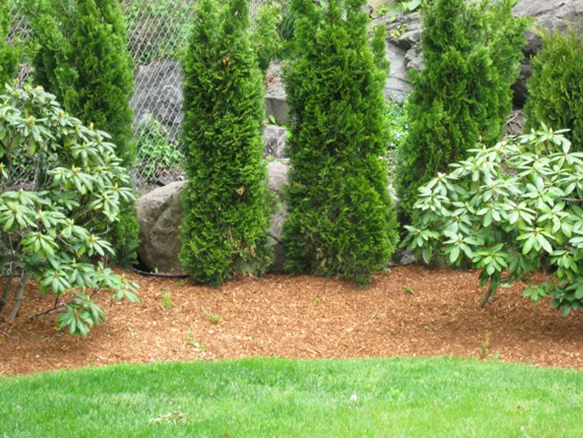 work photo from dimaurolandscaping.com