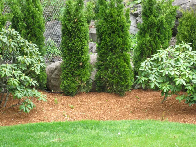 work photo from dimaurolandscaping.com