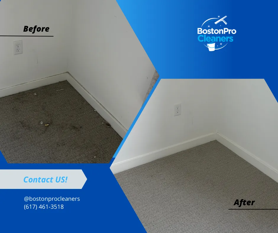 Boston Pro Cleaners