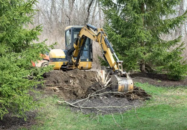 work photo from goodbyestumps.com