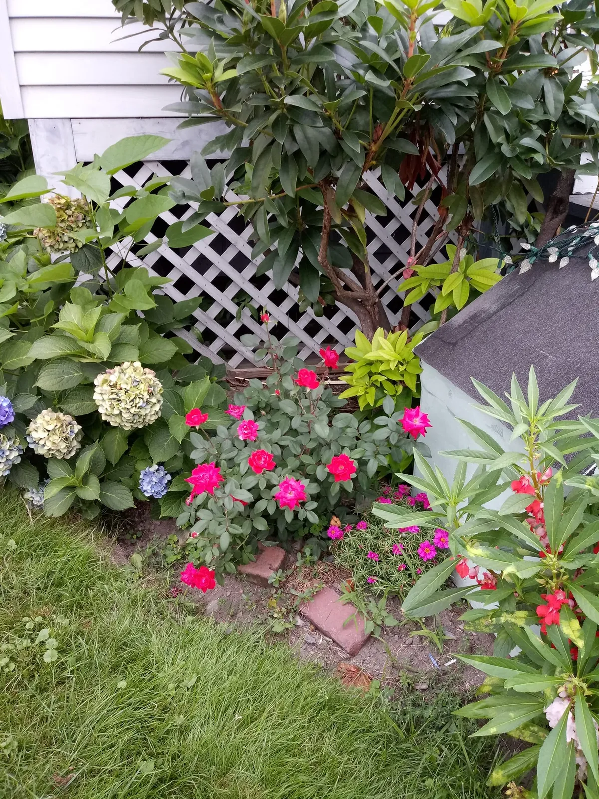 Estrada Landscaping Services
