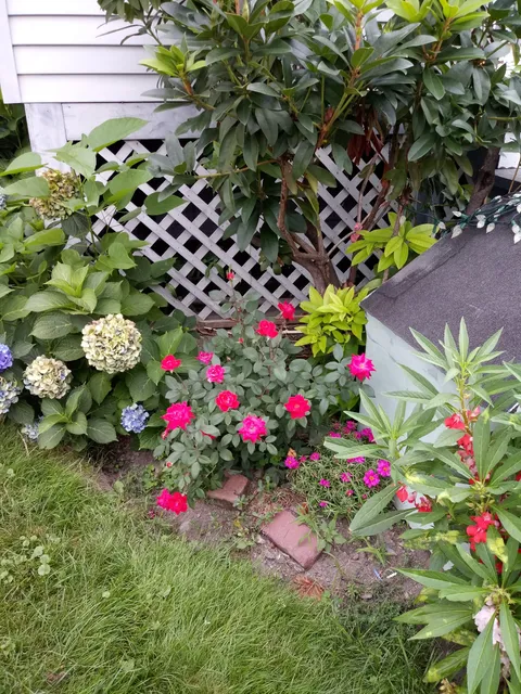 Estrada Landscaping Services