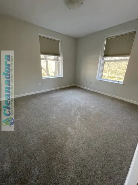 Cleanadora