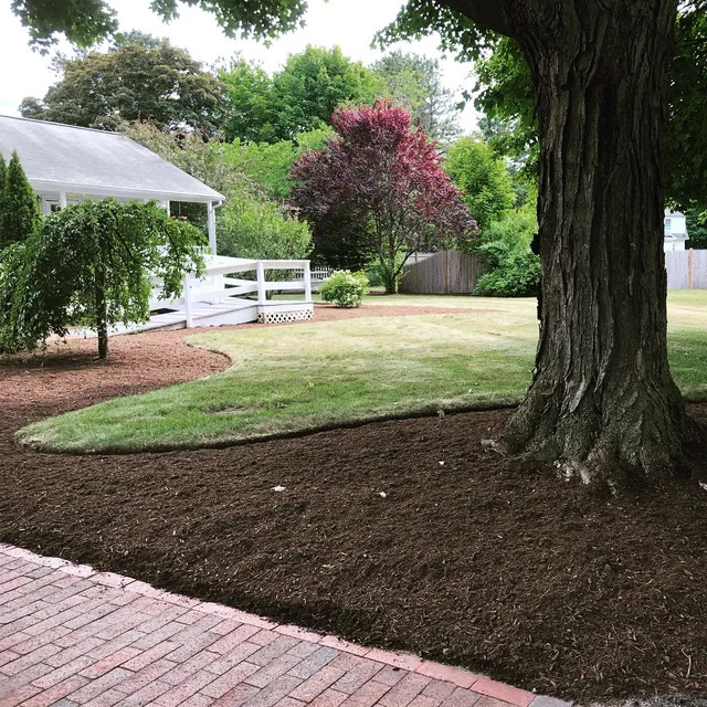 The Lawn Ranger researched project photo