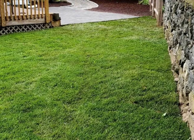 hardscaping service Belmont