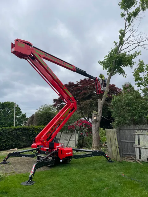 Heritage Tree & Arborist Services Northeast LLC work photo