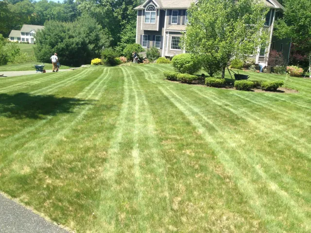 image8.jpeg