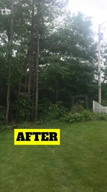 work photo from jptreeservices.net