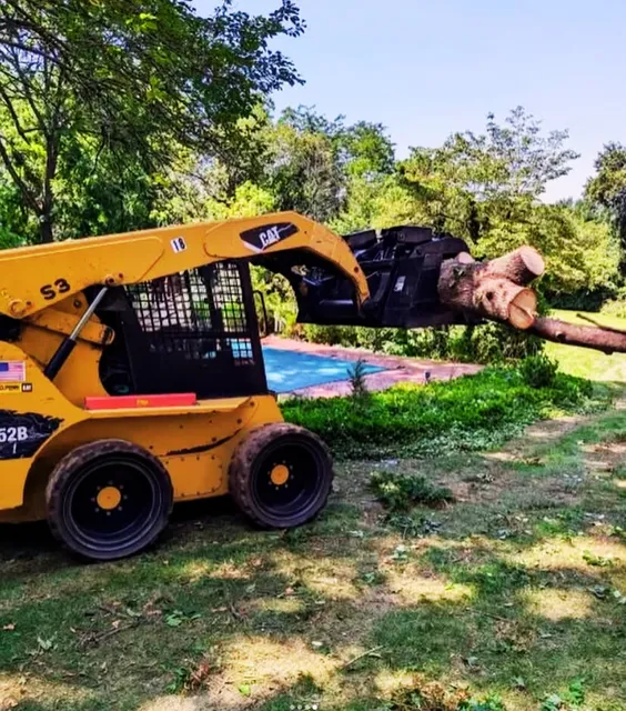 Branford Tree Removal Pros work photo