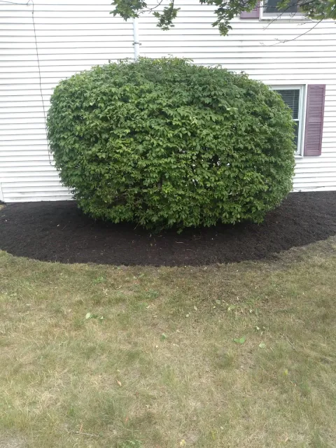 work photo from 207landscaping.com