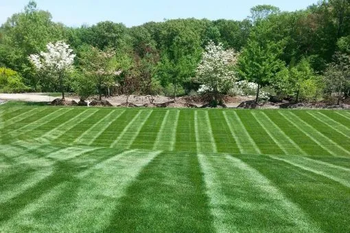 work photo from turftechsolutions.com