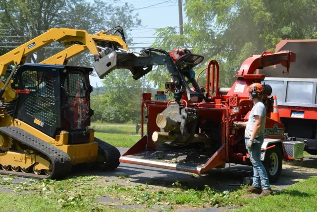 White Hills Tree Removal LLC
