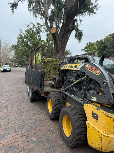 work photo from visionlandsandtreeservicesllc.com