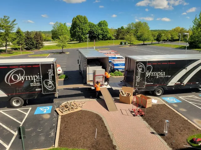 Olympia Moving & Storage