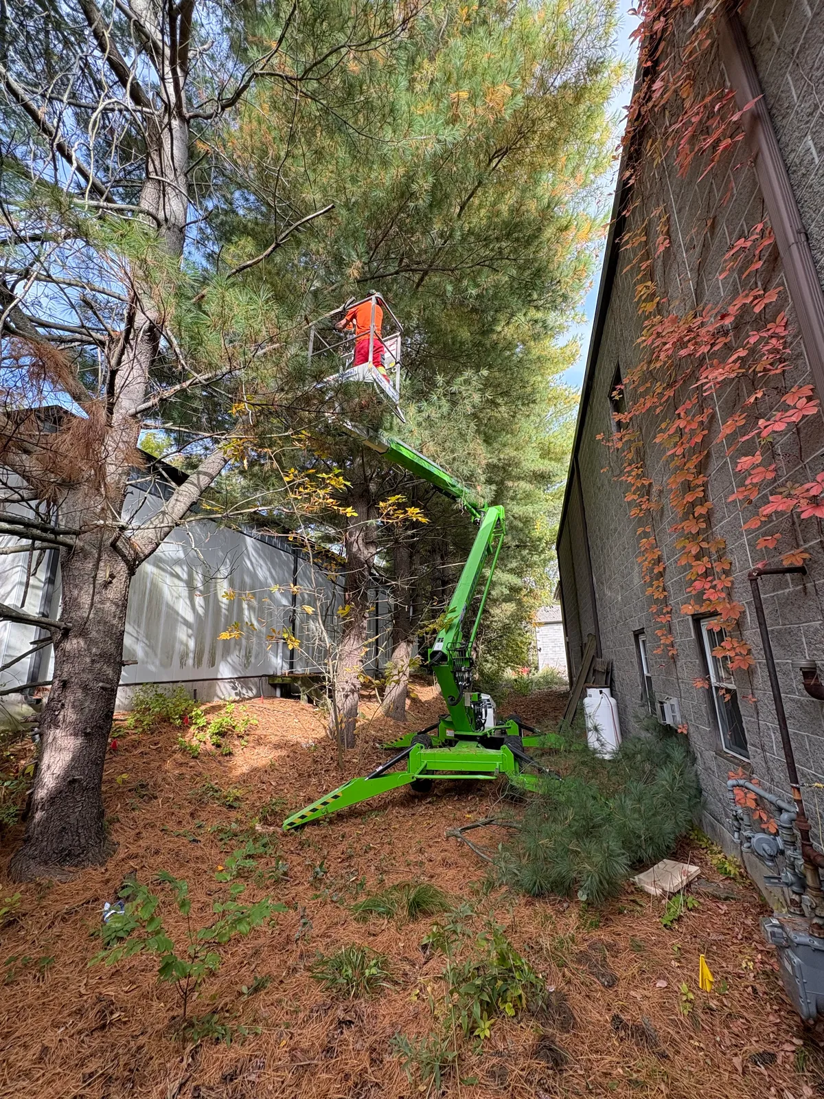 work photo from Google listing