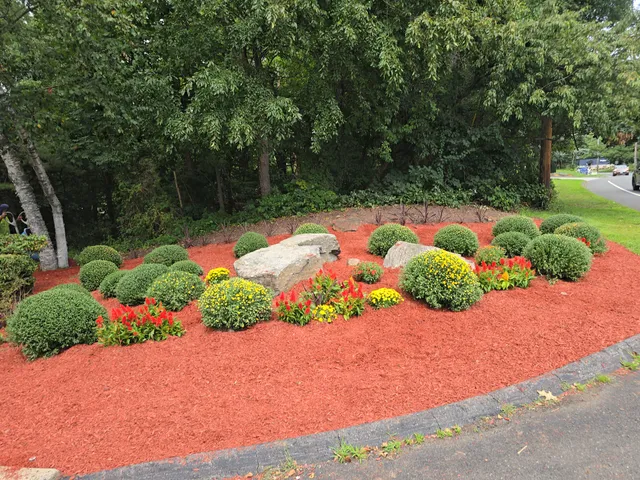 David's Tree Service & Landscaping, LLC work photo