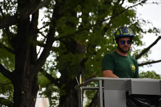 Tree worker pruning up high in a bucket truck.