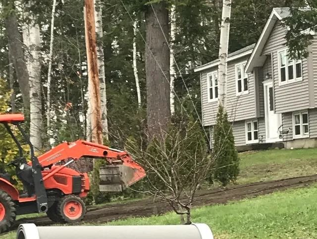 Cassell's landscaping work photo