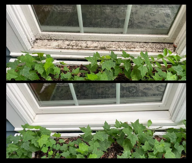 A&B Window Cleaning work photo