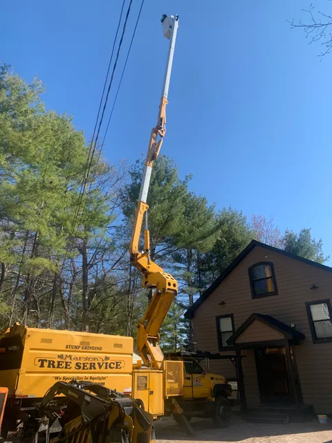 Marstons Tree Service Inc. work photo