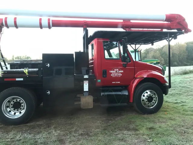G Z Tree care work photo