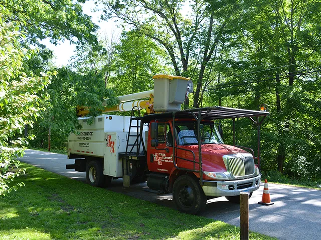 Krohn Kutz Tree Service work photo