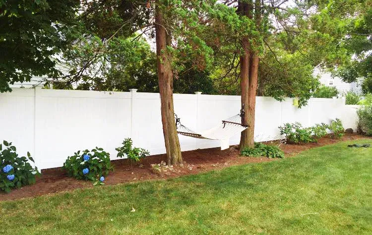 hammock fixed3.jpg
