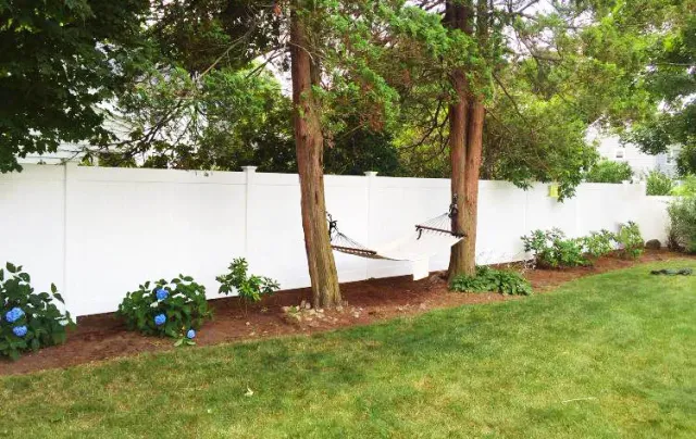 hammock fixed3.jpg