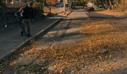 Fall Clean Ups