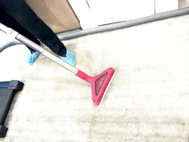 Carpet and Upholstery Cleaning