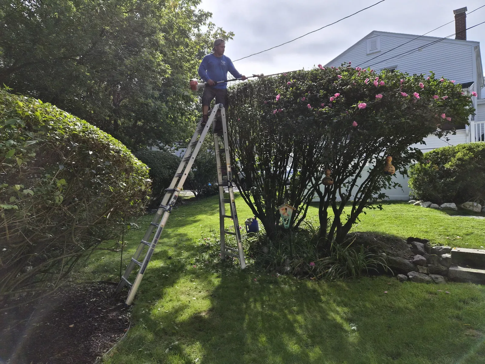 work photo from Google listing