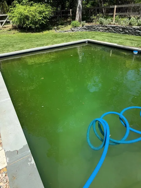 Green, algae-filled pool with a vacuum hose in the water