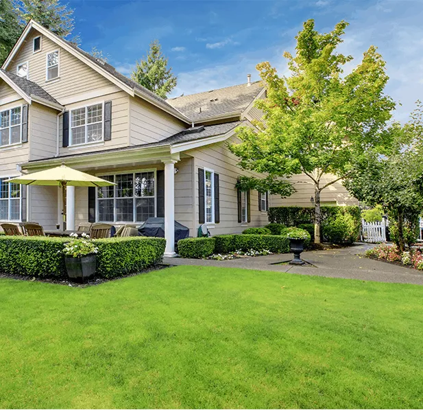 New England Landscape Care