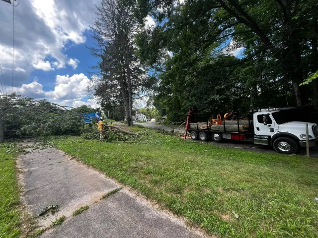 A fallen tree blocking a sidewalk, with workers and a truck nearby.