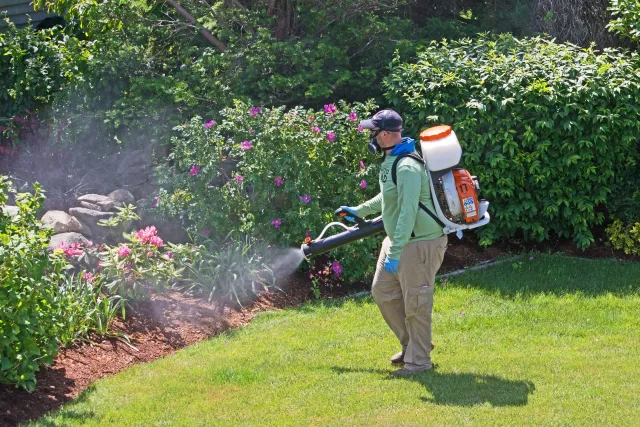 work photo from danmosquitoman.com