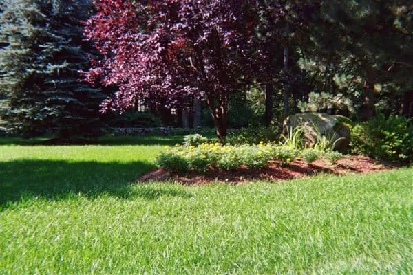 work photo from arbor-turf.com